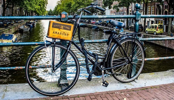 noticia_20150126_Estudio_movilidad_ciclista_Holanda